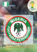 WORLD CUP BRASIL 2014 CLUB BADGE LOGO Nigeria #262
