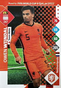 Road To FIFA World Cup Qatar 2022 Netherlands TEAM MATE Wijndal #247