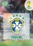 WORLD CUP BRASIL 2014 CLUB BADGE LOGO Brasil #46