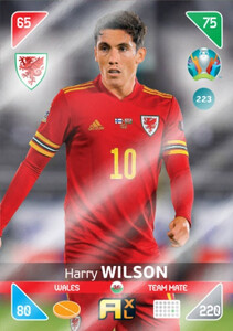 2021 Kick Off EURO 2020 - TEAM MATE Harry Wilson 223