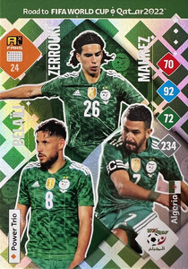 Road To FIFA World Cup Qatar 2022 Algeria FANS Zerrouki / Belaïli / Mahrez #24