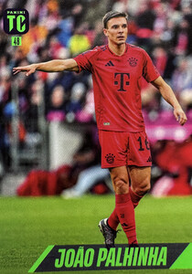 Top Class 2025 FC Bayern München TEAM Palhinha #48
