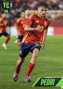 Top Class 2025 Spain TEAM Pedri #81